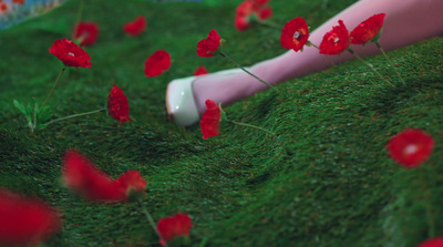 a person laying in the grass with red flowers