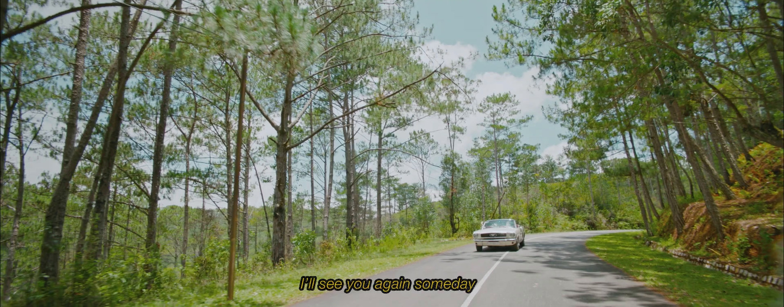 a car driving down the road in the woods