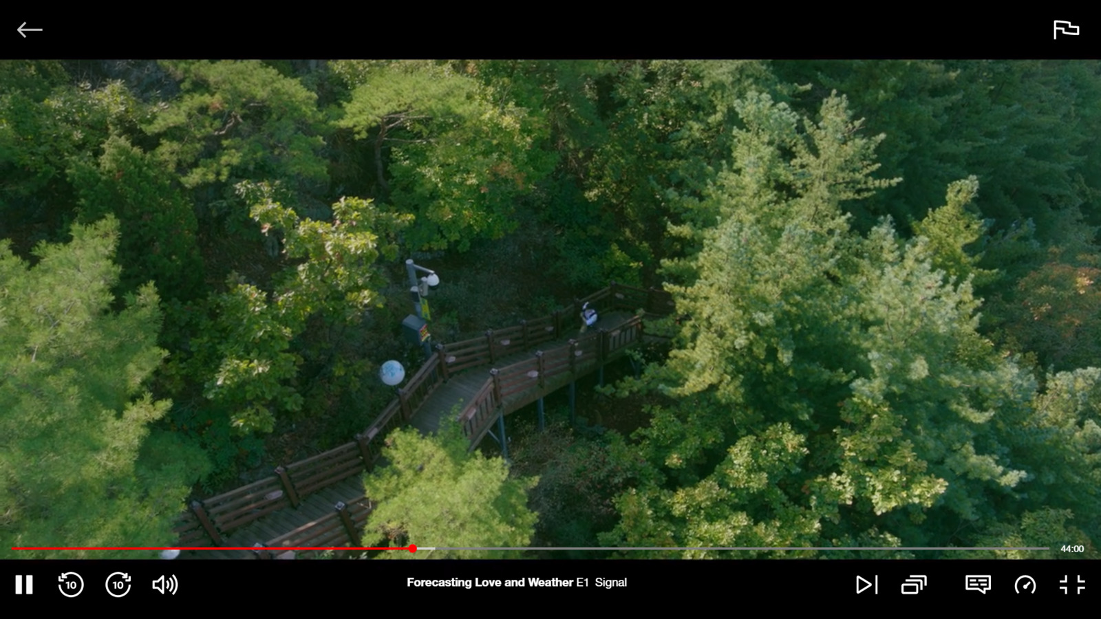 a bird's eye view of a bridge in the woods