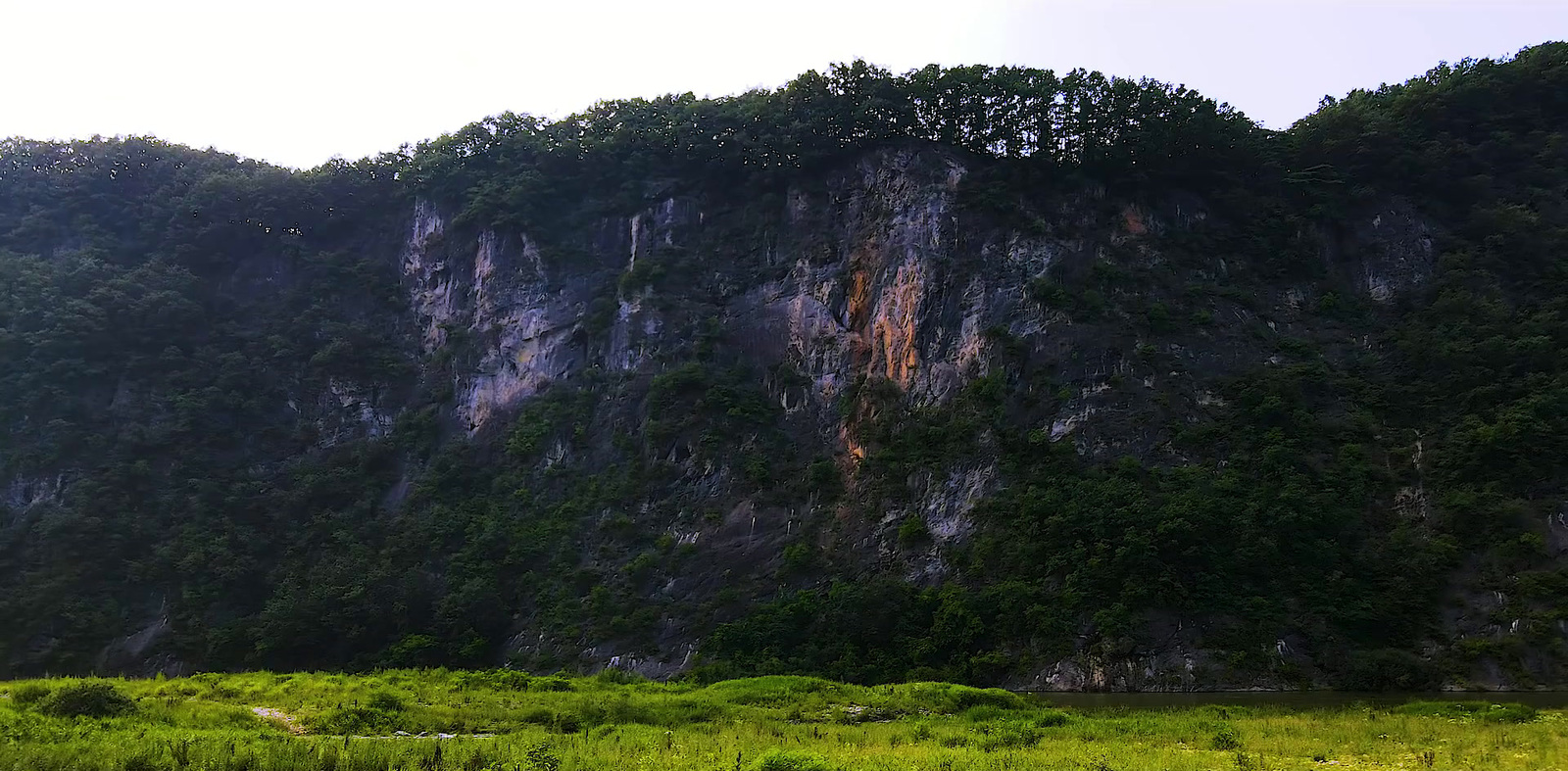 a grassy field with a mountain in the background