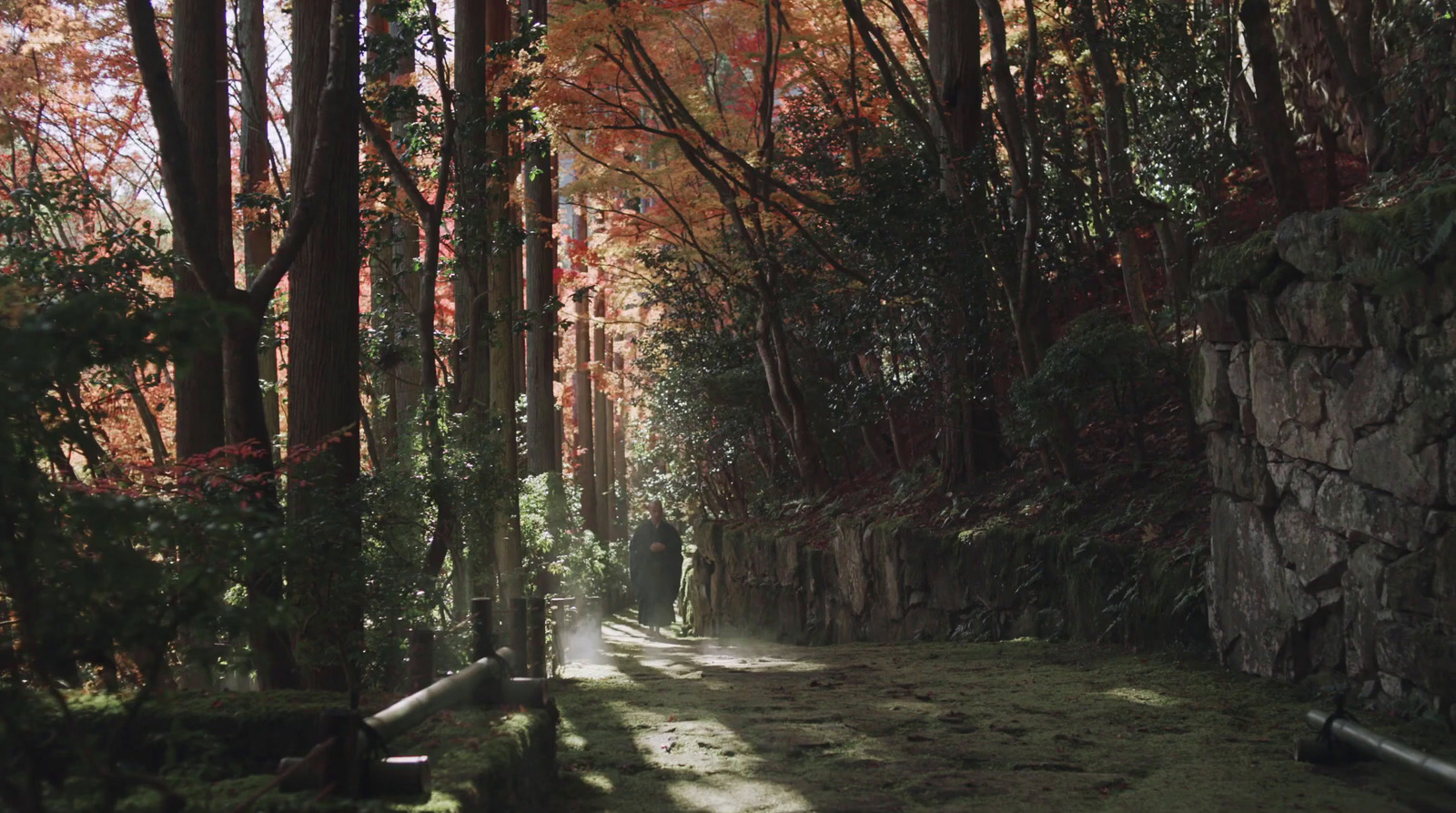 a dirt road surrounded by trees and rocks