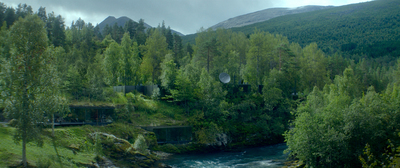 a river running through a lush green forest