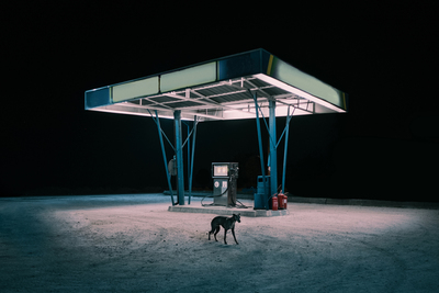 a dog standing in the sand at a gas station