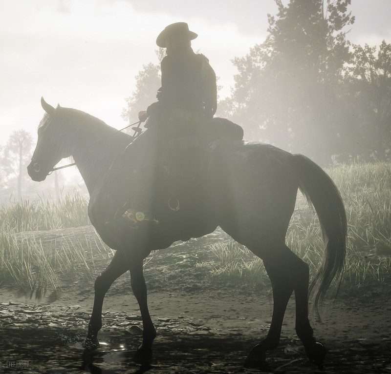 a man riding on the back of a brown horse