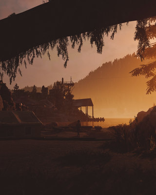 a person standing under a tree near a body of water