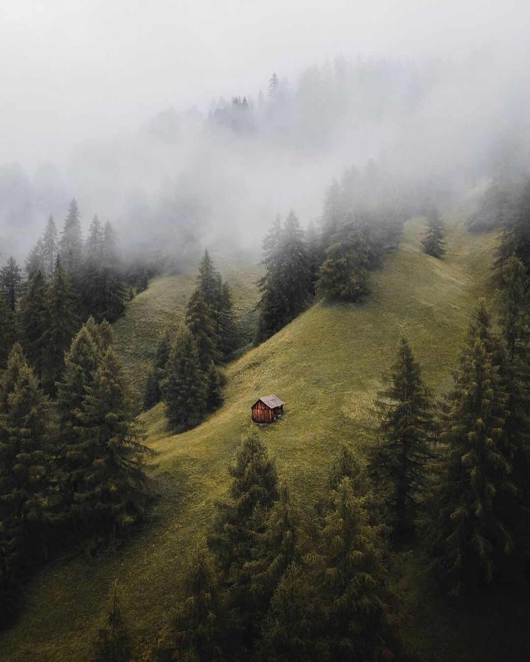 a cabin in the middle of a foggy forest