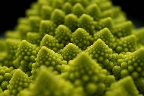 a close up view of a piece of broccoli