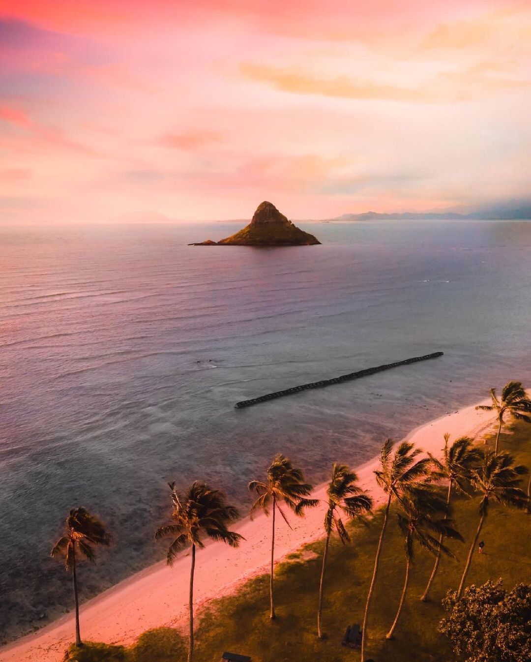 a beach with palm trees and a small island in the distance