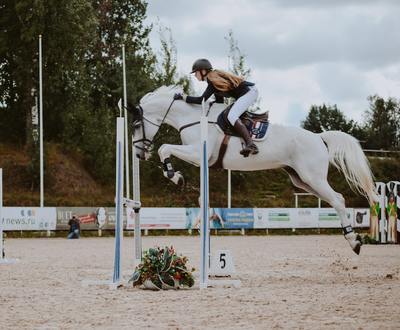 a person on a horse jumping over an obstacle