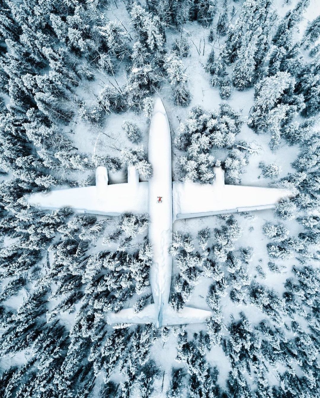 an aerial view of an airplane flying over a snowy forest