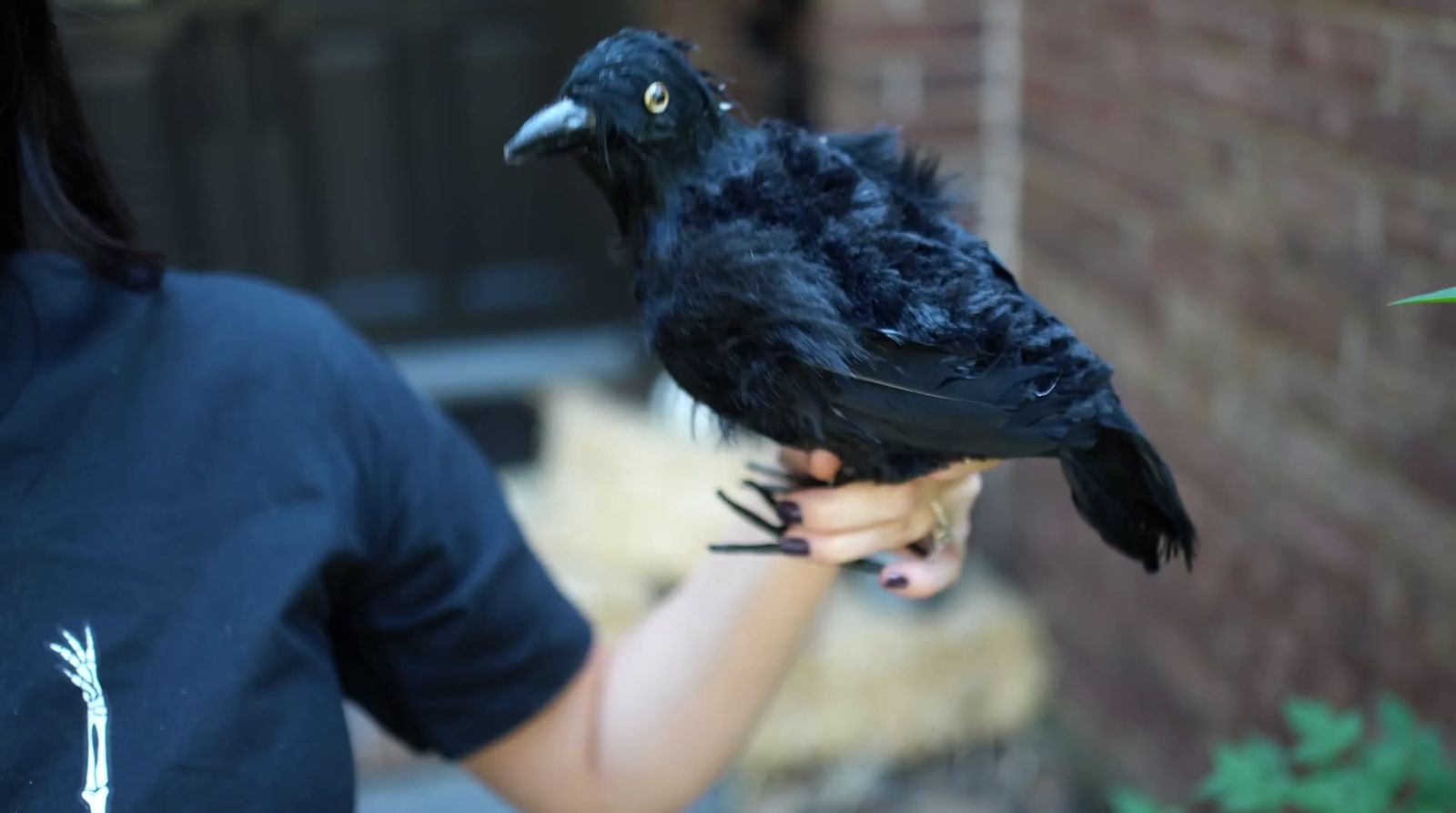 a woman holding a black bird in her hand