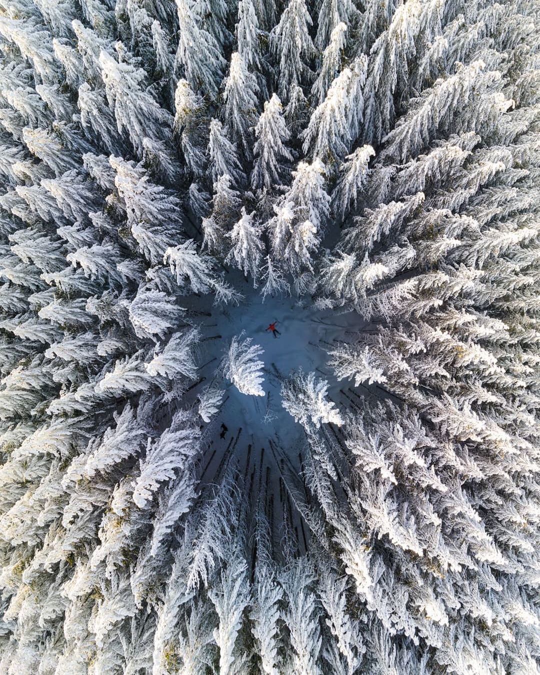 an aerial view of a snow covered forest