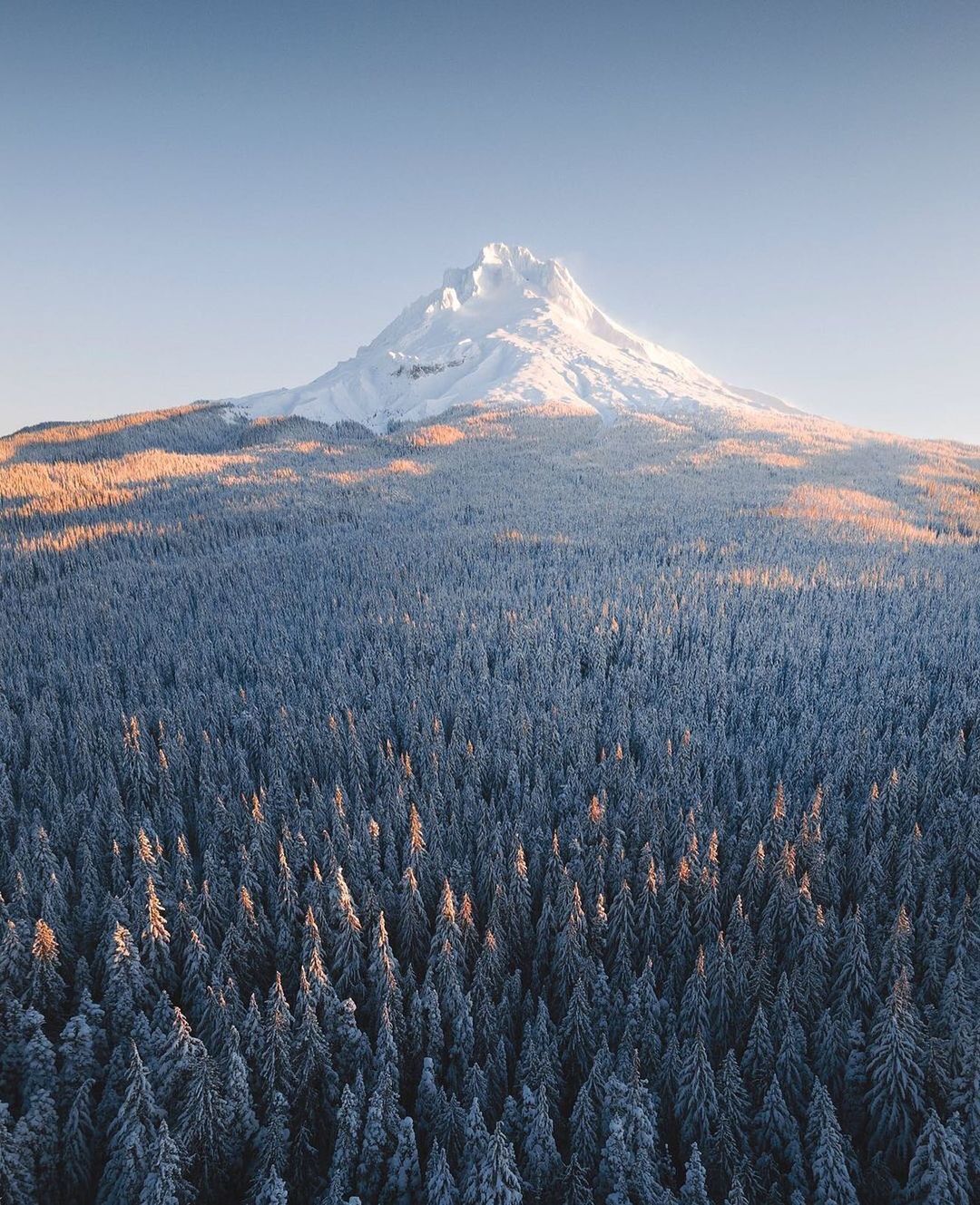 a snow covered mountain with trees in the foreground