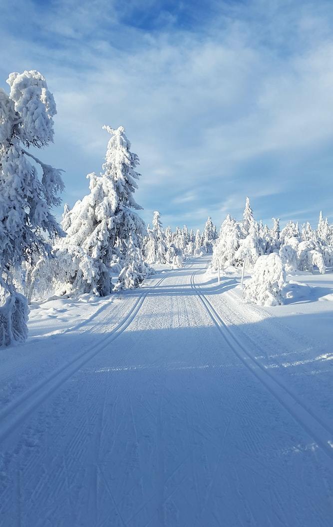 a person riding skis on a snowy surface