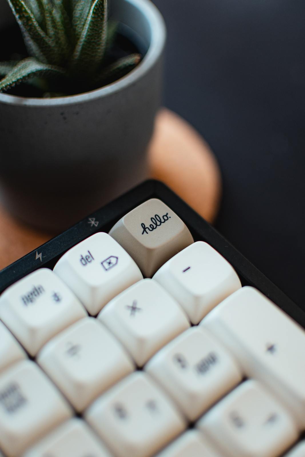 a white keyboard sitting next to a potted plant