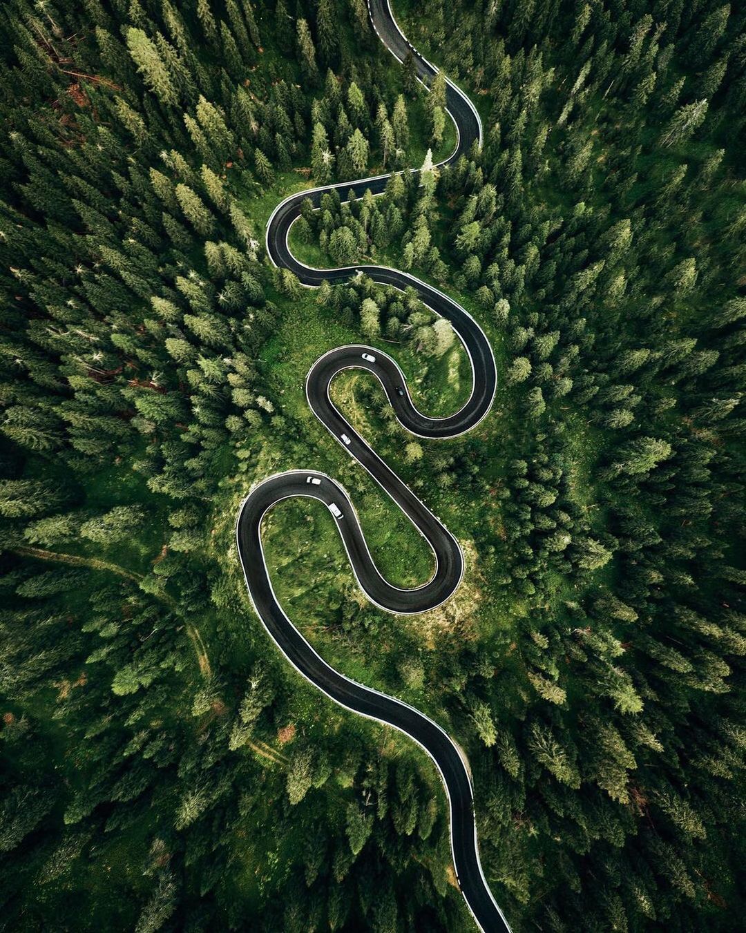 a winding road in the middle of a forest