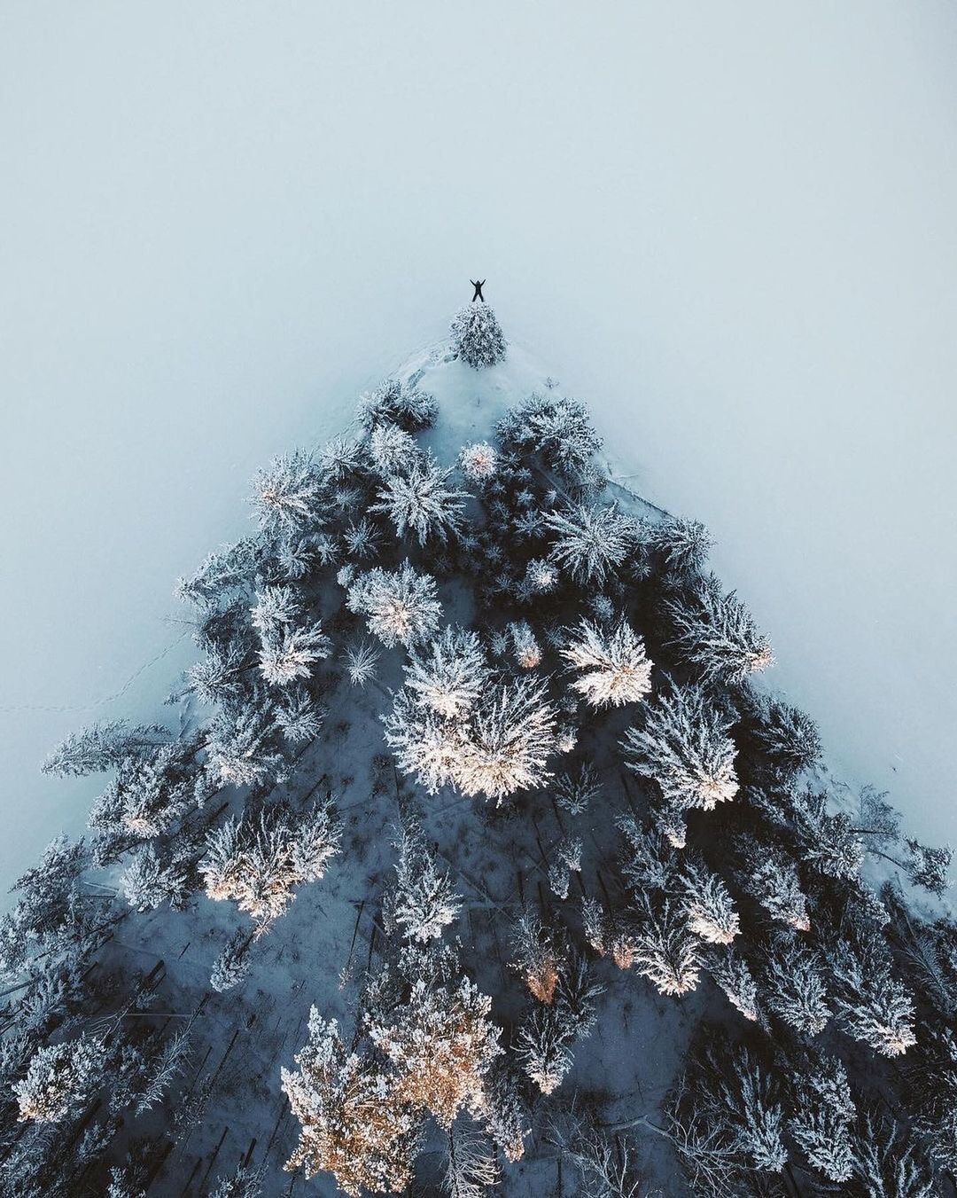 a snow covered pine tree with a person standing on top of it