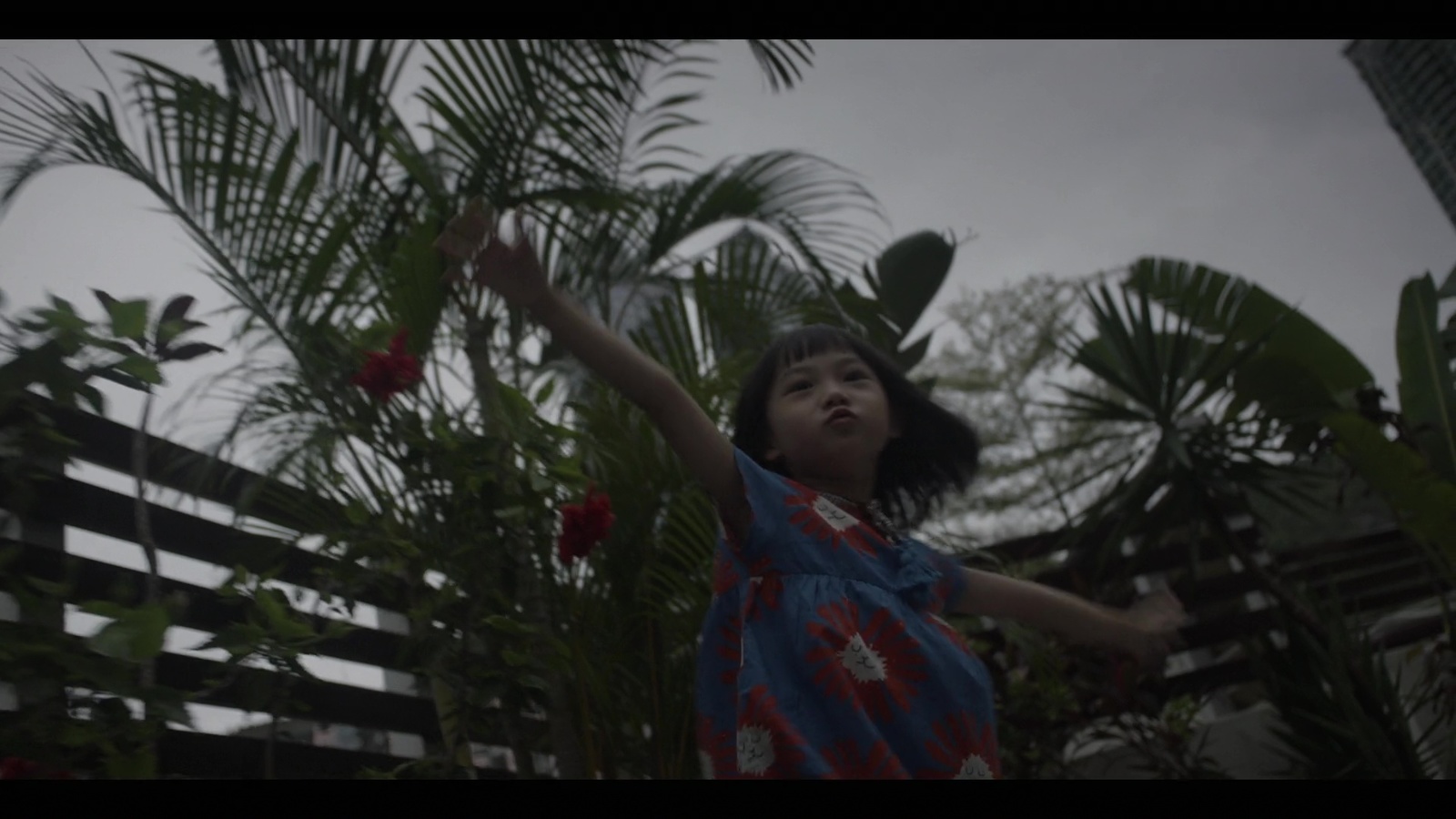 a little girl standing in front of a palm tree