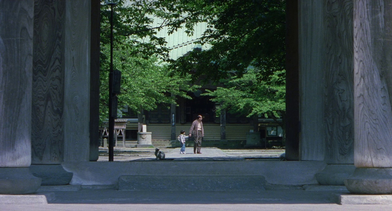 a person walking a dog in a park