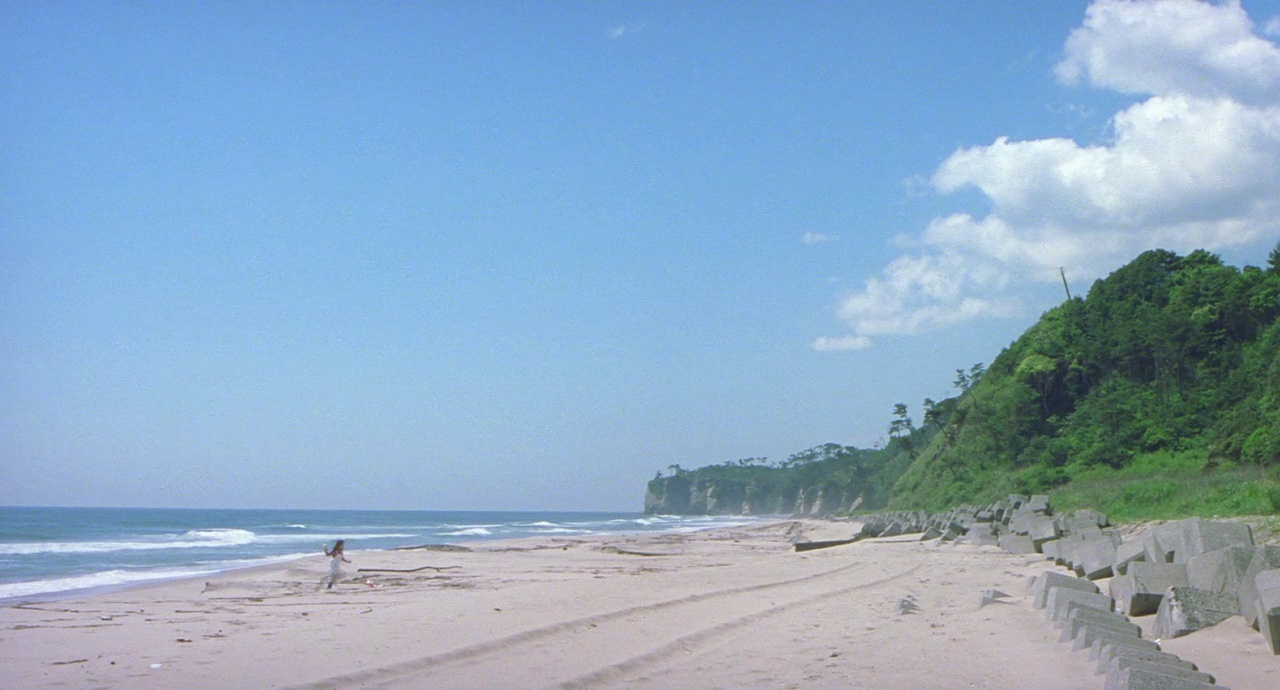 a person walking on a beach near the ocean