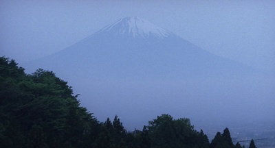 a foggy mountain with trees in the foreground