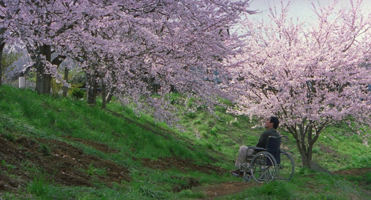 a person in a wheel chair in a park