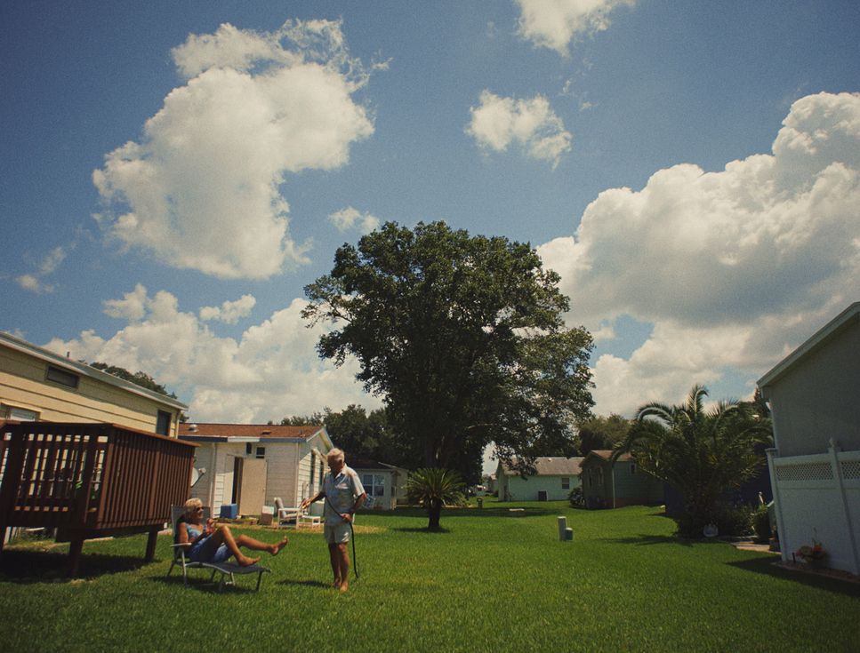 a man standing in a yard next to a tree