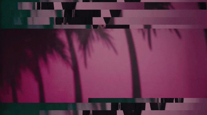 a palm tree in front of a pink wall