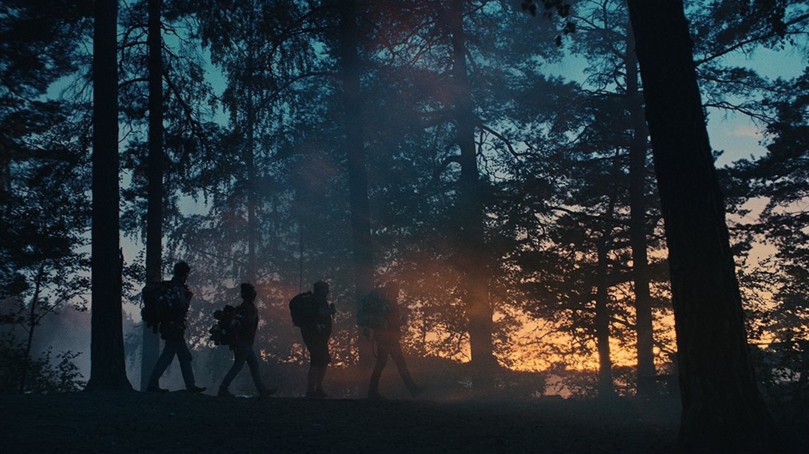 a group of people walking through a forest at sunset