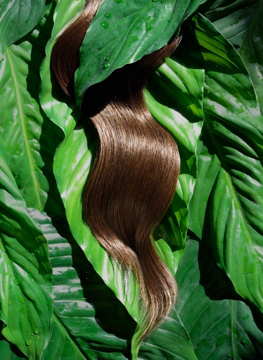 a close up of a green leaf with brown hair