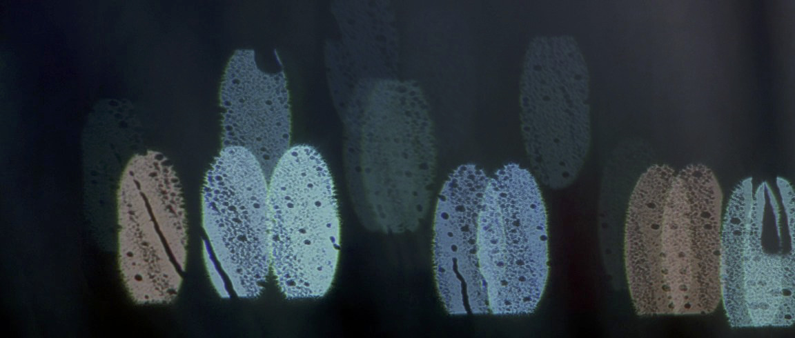 a close up of a window with a pattern on it