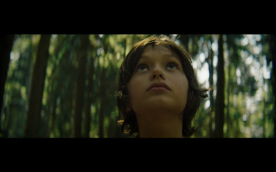 a young girl looking up into the sky in a forest