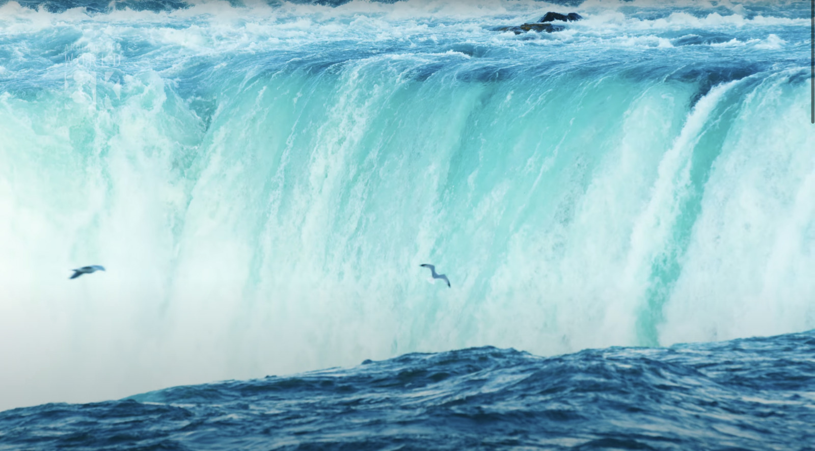 two birds flying over a large waterfall in the ocean