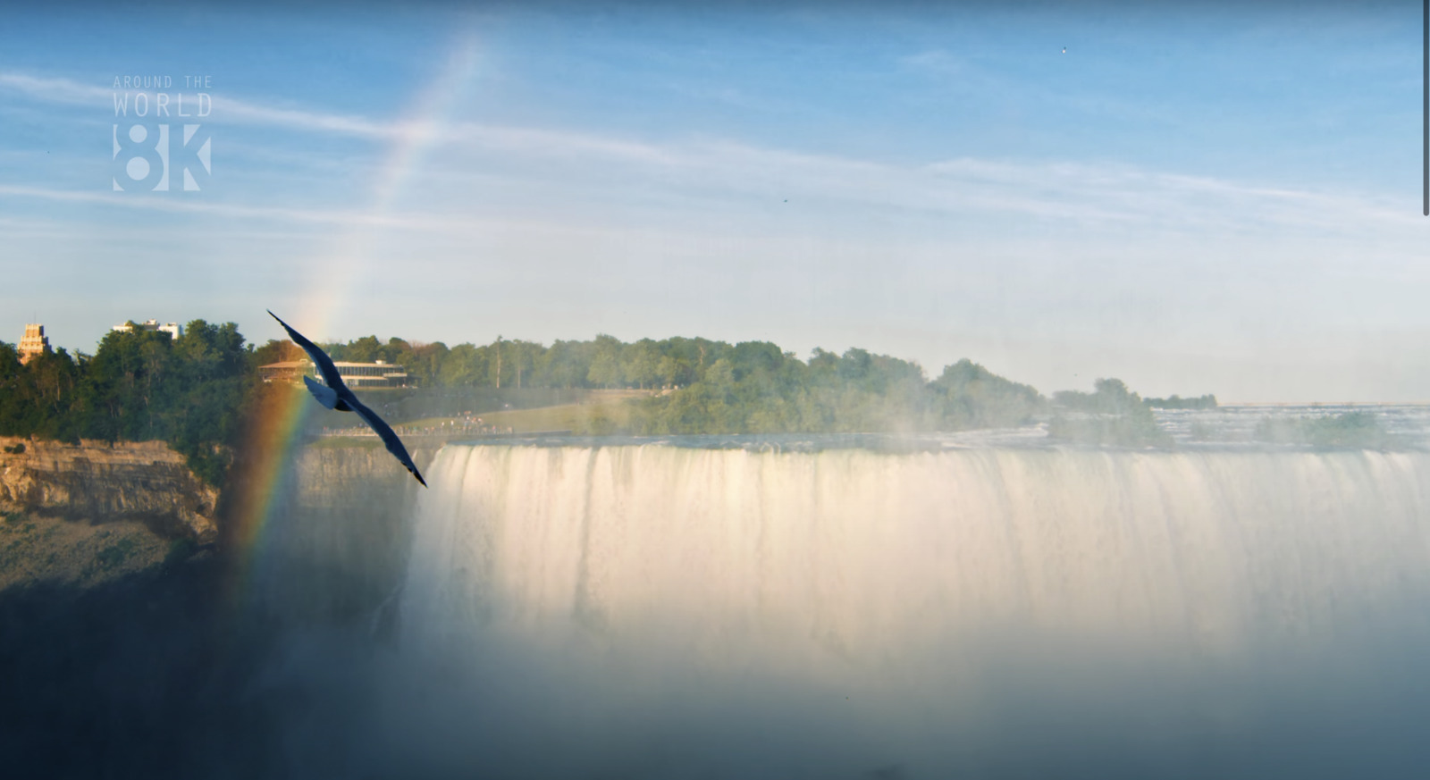 a bird flying over a waterfall with a rainbow in the sky