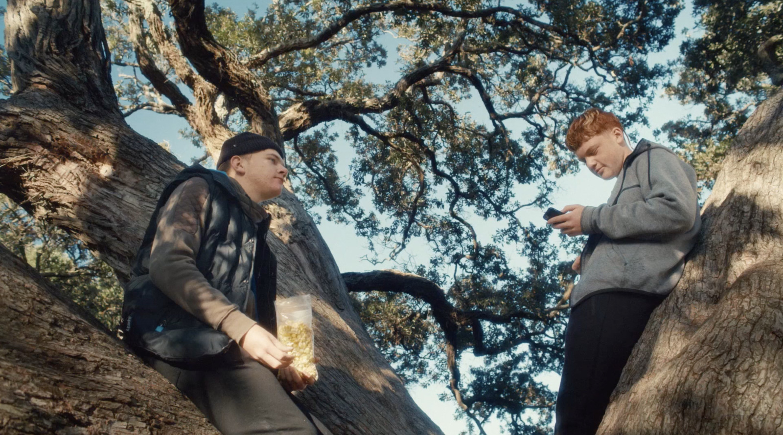 a couple of men standing on top of a tree