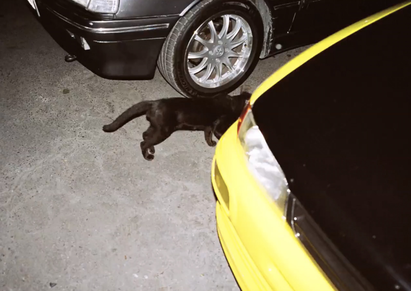 a black cat laying next to a yellow car