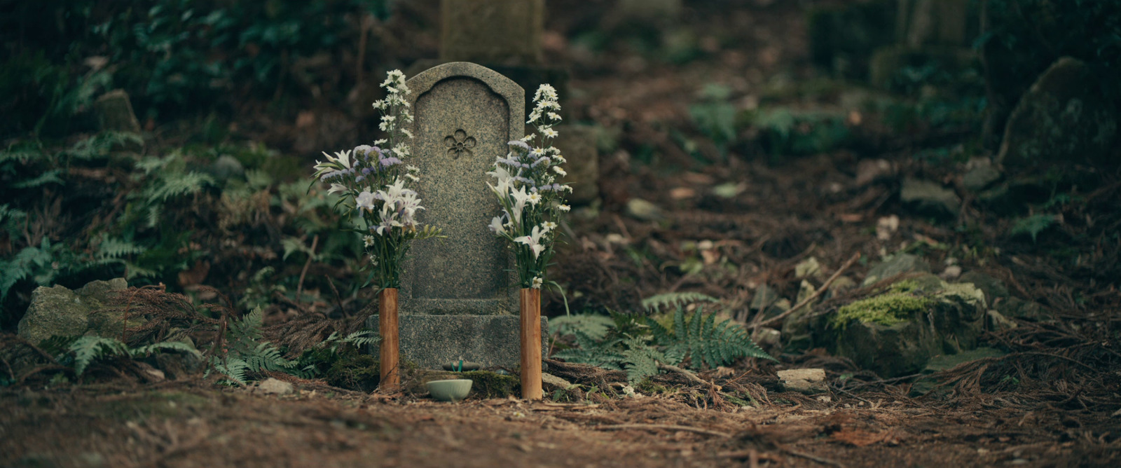 a grave in the middle of a forest