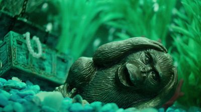 Irish green | color meaning, hex code, palettes, images
