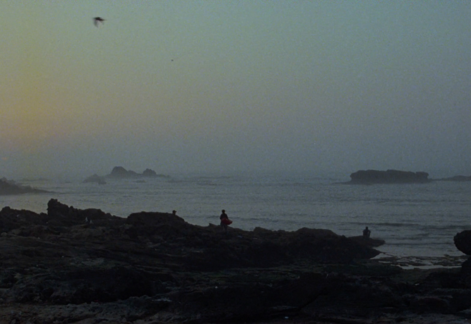 a group of people standing on top of a rocky beach