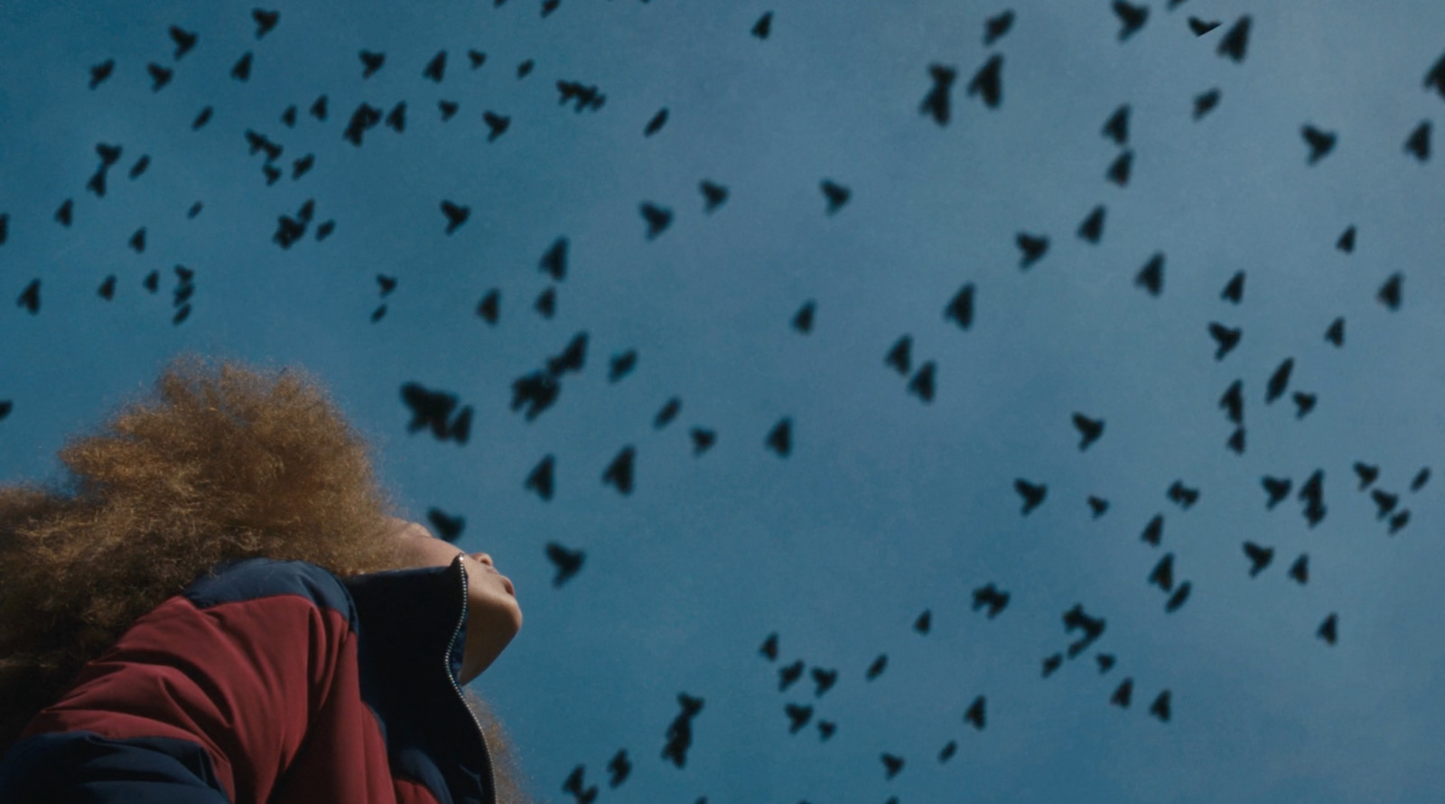 a woman looking up at a flock of birds in the sky