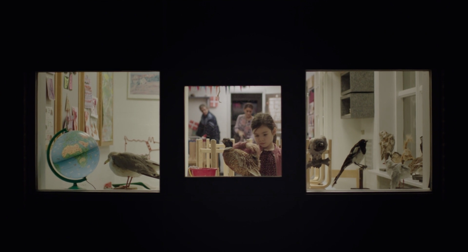 a group of three pictures of birds in a room