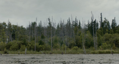 a large body of water surrounded by trees