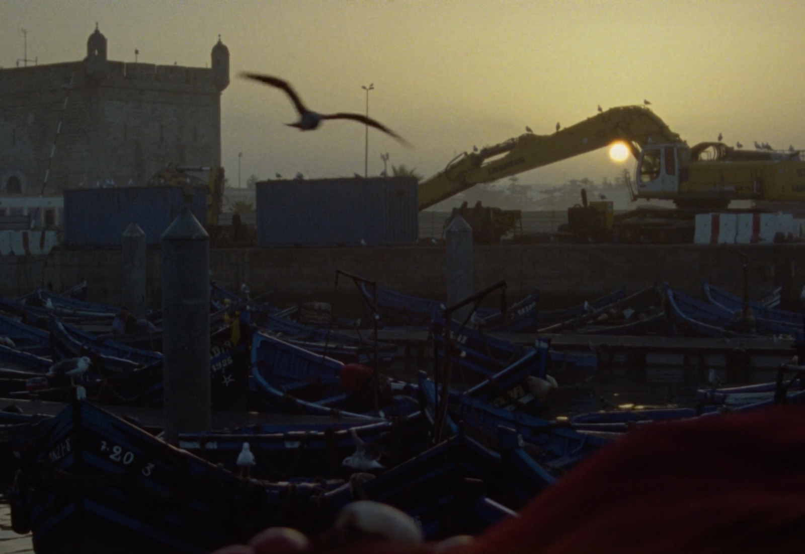 a bird flying over a bunch of boats in a harbor