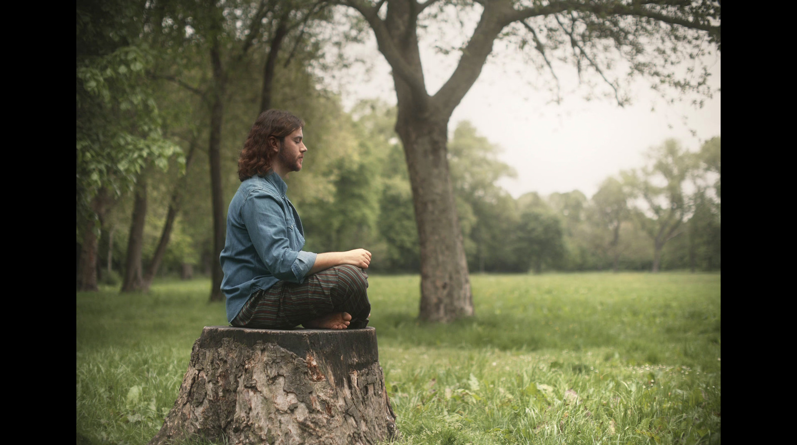 a man sitting on top of a tree stump