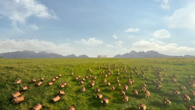 a herd of cattle grazing on a lush green field