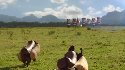 a group of pigs running across a lush green field