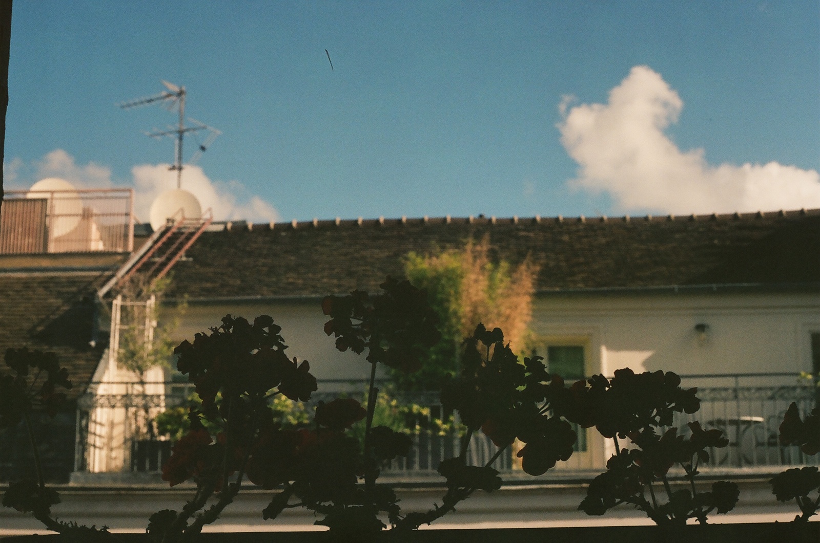 a view of a house through a window