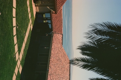 a view of a grassy area with a fence and palm tree