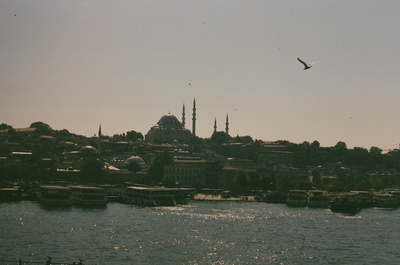 a bird flying over a large body of water