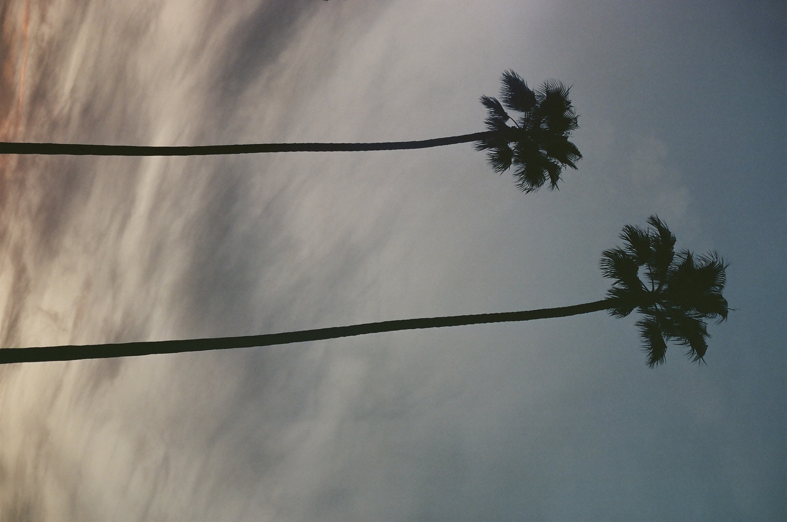 two palm trees are silhouetted against a cloudy sky